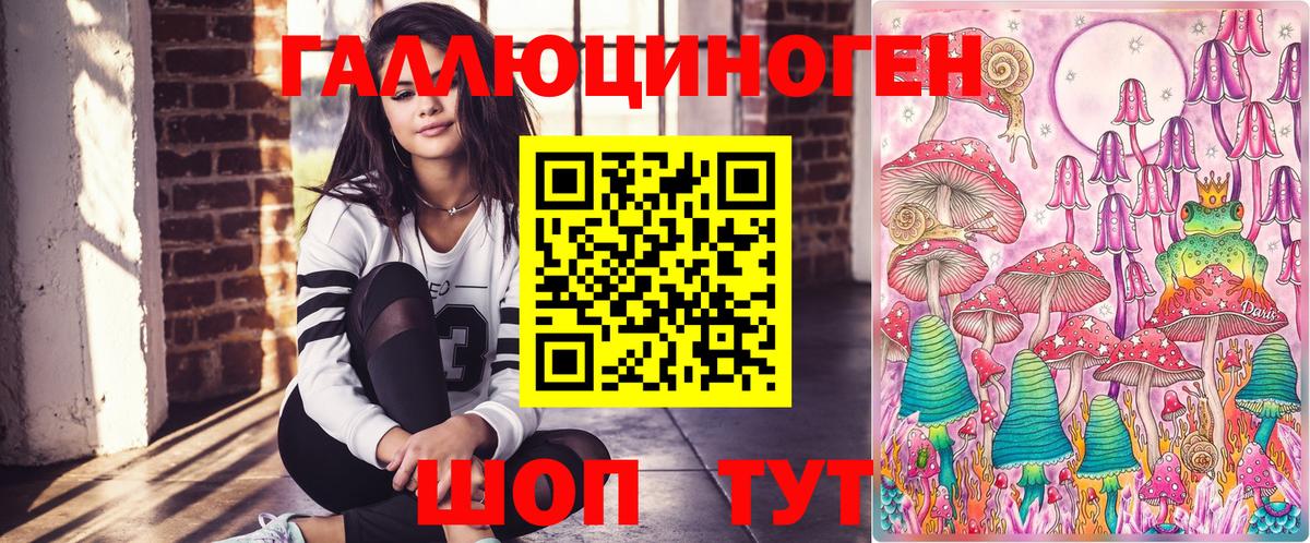 Ишим  Псилоцибиновые грибы Psilocybine cubensis  Вход с VPN 